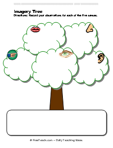 Organizer five Tree for Imagery  Observation nursery worksheets senses