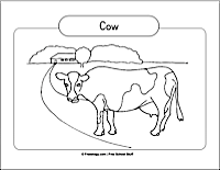 Cow on the Farm