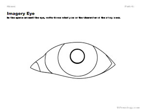 Imagery Eye Observation Organizer
